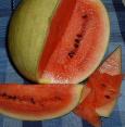 Riesen-Melonen!
