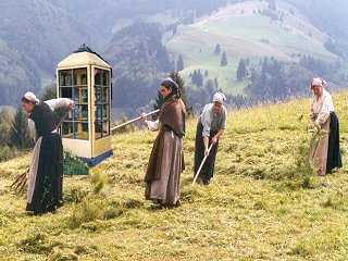 Feldarbeit wie anno 1902