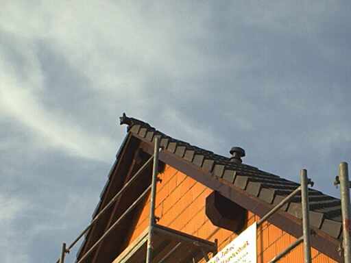 Der Fuchs auf dem Dach soll mobile ethnische Minderheiten fernhalten